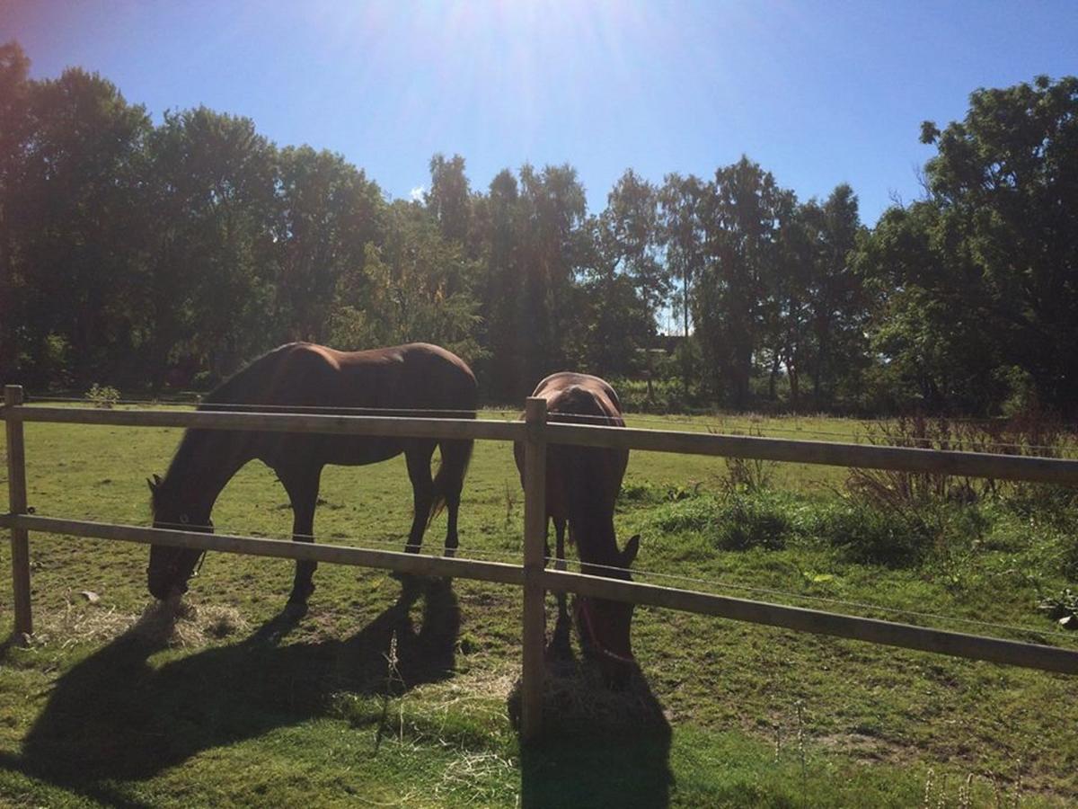 Ganarps Rum Och Stuguthyrning Ängelholm Buitenkant foto